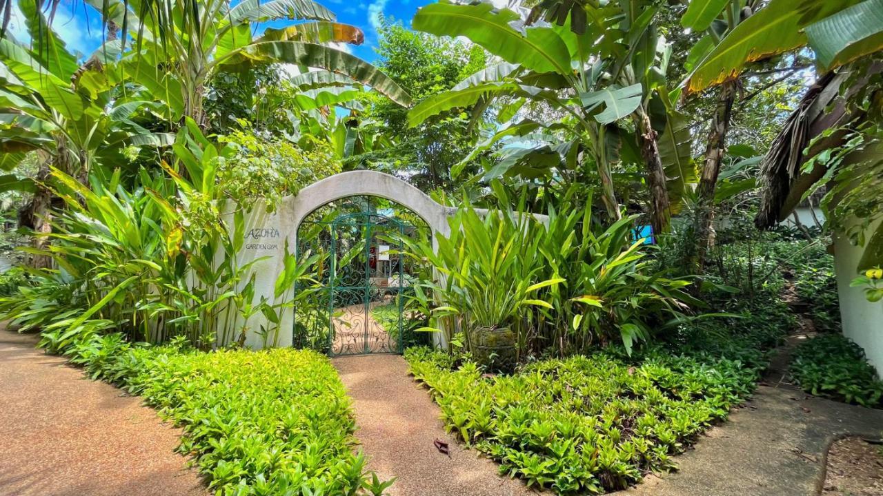 Coco Grove Beach Resort, Siquijor Island Экстерьер фото Entrance to the botanical garden